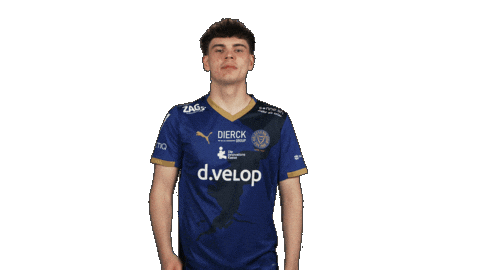 Holstein Kiel Football Sticker by Bundesliga