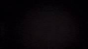 Merry Christmas GIF by Bernardson