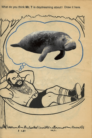 walrus GIF by Cheezburger