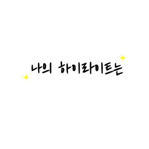 koreapilot giphyupload pilot 형광펜 kirena Sticker