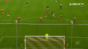 football soccer GIF by VfL Wolfsburg