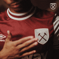 Premier League Football GIF by West Ham United