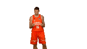 Liga Endesa Sport Sticker by ACB