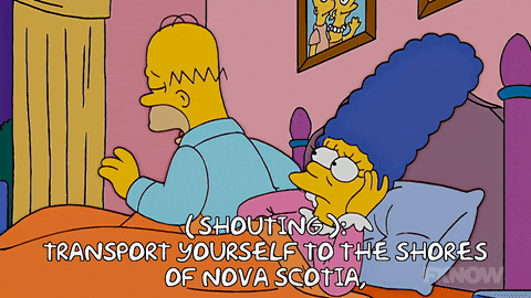 Episode 2 GIF by The Simpsons