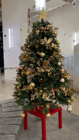 melanielim8202 giphyupload GIF