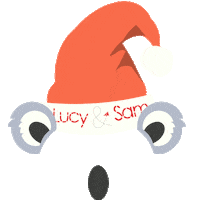 christmas santa Sticker by Lucy & Sam