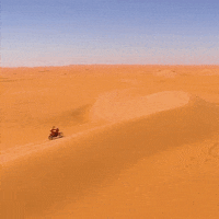 GIF by Red Bull