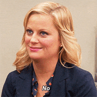 amy poehler no GIF