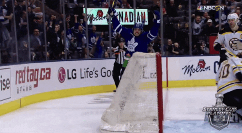 ice hockey sport GIF by NHL