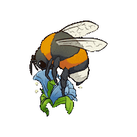 BiosfarVanerskargarden nature flower water animal Sticker