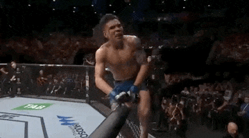 ufc fight night sport GIF by UFC