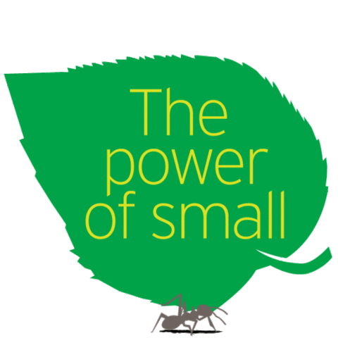 timetochange mental health leaf small ant Sticker