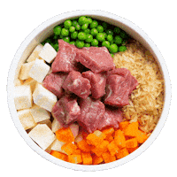 Hund Sticker by HelloBello Frischfutter