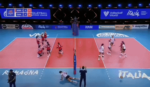 qwerpoiu22ppop giphyupload GIF