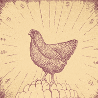 Chicken Success GIF