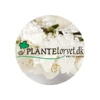 Logo Sticker by Plantetorvet.dk
