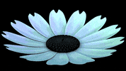 3d flower GIF by BadBenjamin
