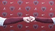Softball Wildcats GIF by CWU Athletics