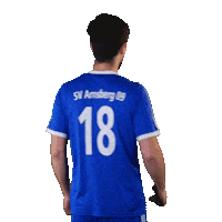 SV_Arnsberg_09 fussball jubel bier kreisliga Sticker