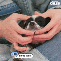 Sleep Well Puppy