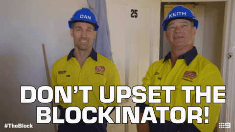Channel 9 Dan GIF by The Block