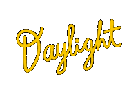 Taylor Swift Typography Sticker