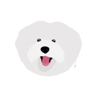 Dog Pet Sticker