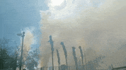 fireworks valencia GIF by For 91 Days