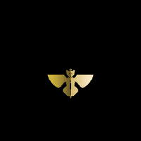 Carakale beer jordan craftbeer brewery GIF