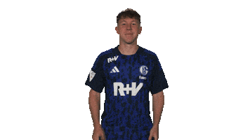 Schalke 04 Cheering Sticker by Bundesliga