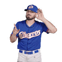 Sport Baseball Sticker by Charros de Jalisco