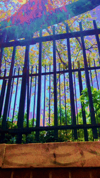 mollie_serena glitch rainbow walking walk GIF