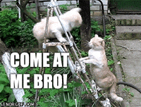hand slapping GIF