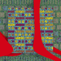 michelpoisson  GIF