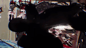 music video wtf GIF by rolfes