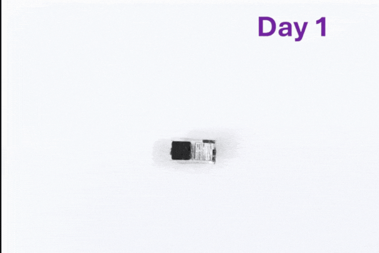 SemiconMedia giphyupload GIF