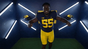 Go Blue College Football GIF by Michigan Athletics