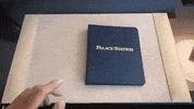 stationcasinos palace station GIF