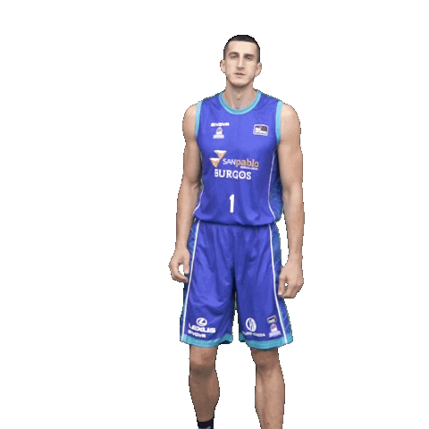 Celebrar Liga Endesa Sticker by ACB