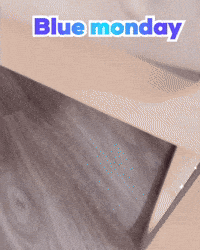itsbiru cat ねこ 猫 blue monday GIF
