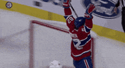 Happy Ice Hockey GIF by NHL
