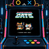 Cat Stay Weird GIF by Weird Cats