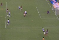 Copa Do Brasil Pedro GIF