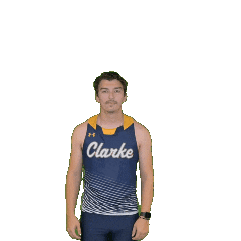 Clarke Athletics Sticker by Clarke University
