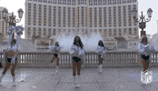 Regular Season Dancing GIF by NFL