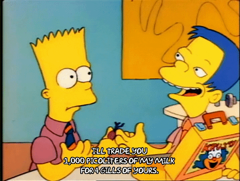 Season 1 GIF by The Simpsons