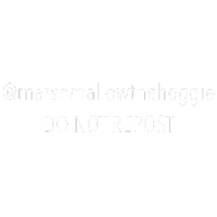 Sticker by Marshmallow the Hoggie