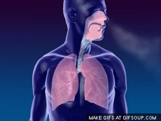 breathing GIF