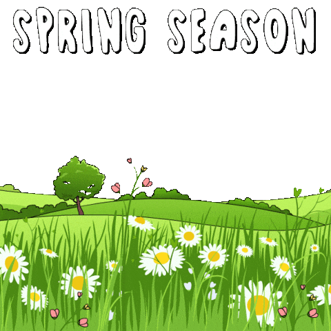 Happy Spring Day Sticker by Pudgy Penguins