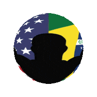 Btt Dominion Sticker by Brazilian Top Team